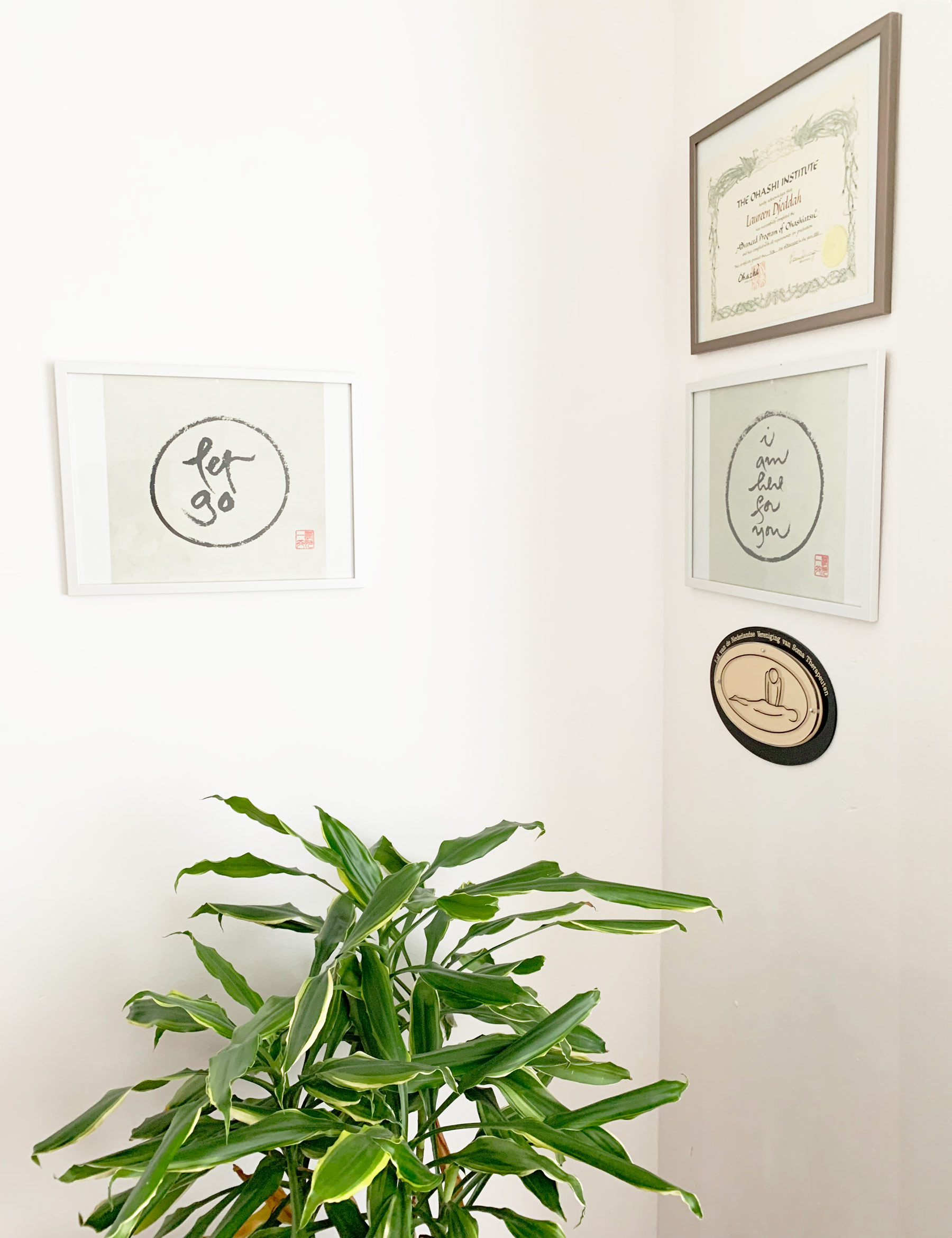 IMG_sm_3777 IMG_sm_3777